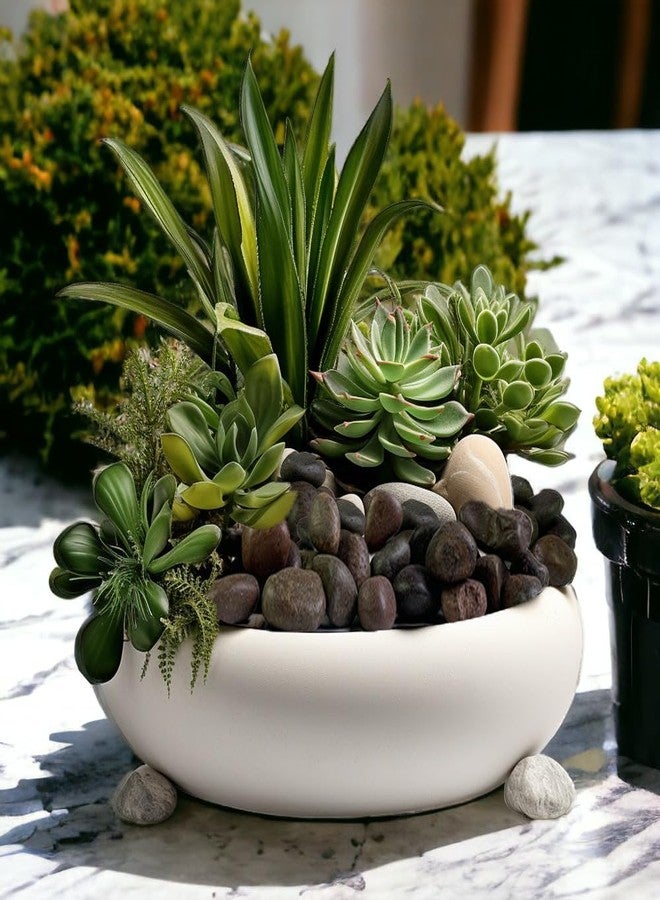 HappyFiller Natural Decorative Pebbles Polished Rocks Stones for Aquarium,Fish Turtle Tank,Outdoor Indoor Plants Top Dressing,Succulents Soil Cover,Garden Landscaping,2 LB,Red Mix,0.8-1.6" - Image 2